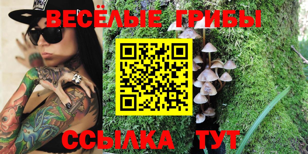 Ярцево  купить наркоту  Вход с VPN  Псилоцибиновые грибы Magic Shrooms  Псилоцибиновые грибы мицелий 